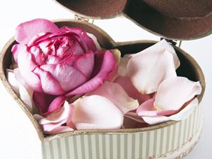 仙台で見つける理想の結婚指輪！デザインと品質を重視した選び方ガイド